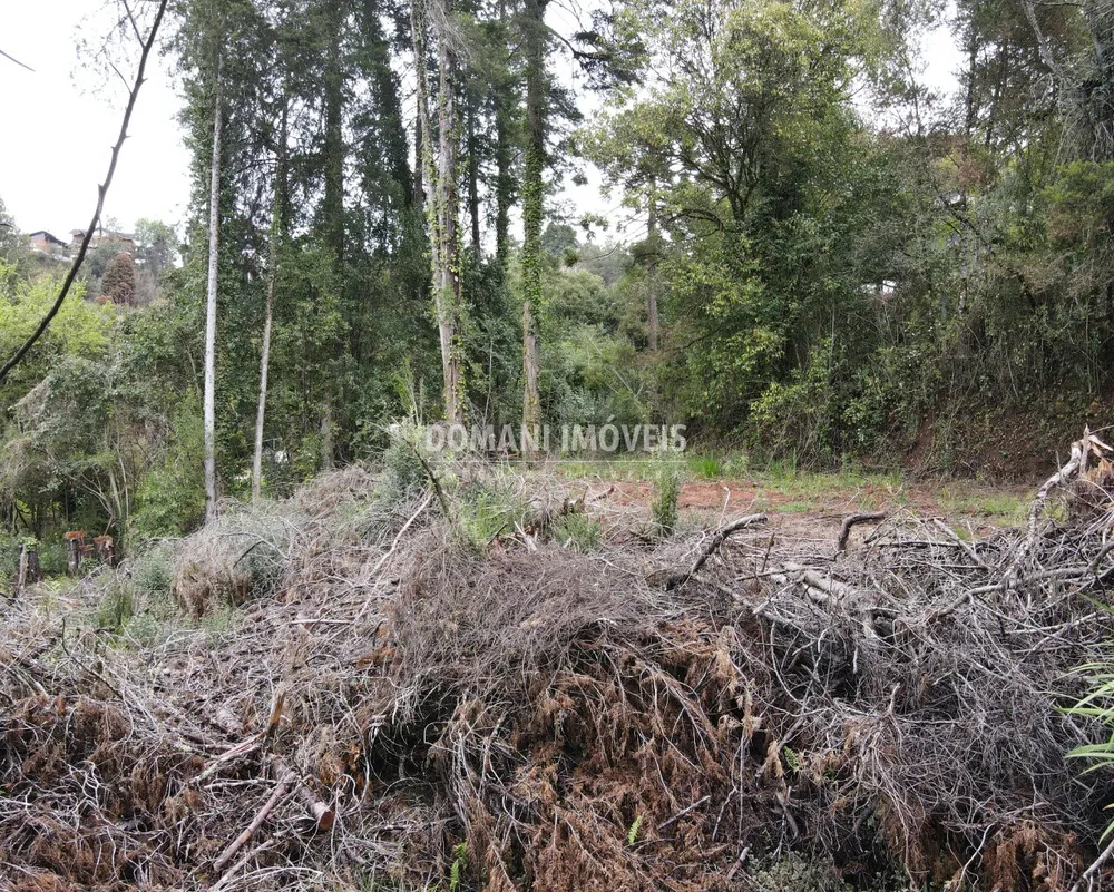Terreno, 1100 m² - Foto 10