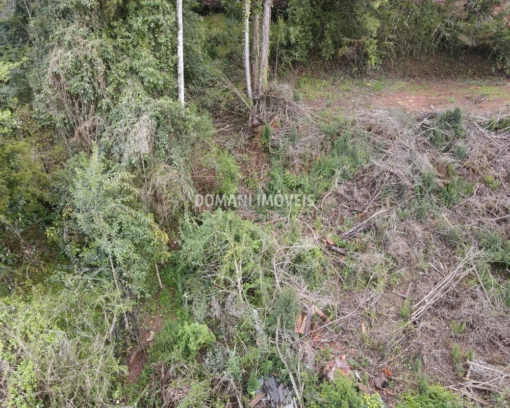 Terreno, 1100 m² - Foto 12