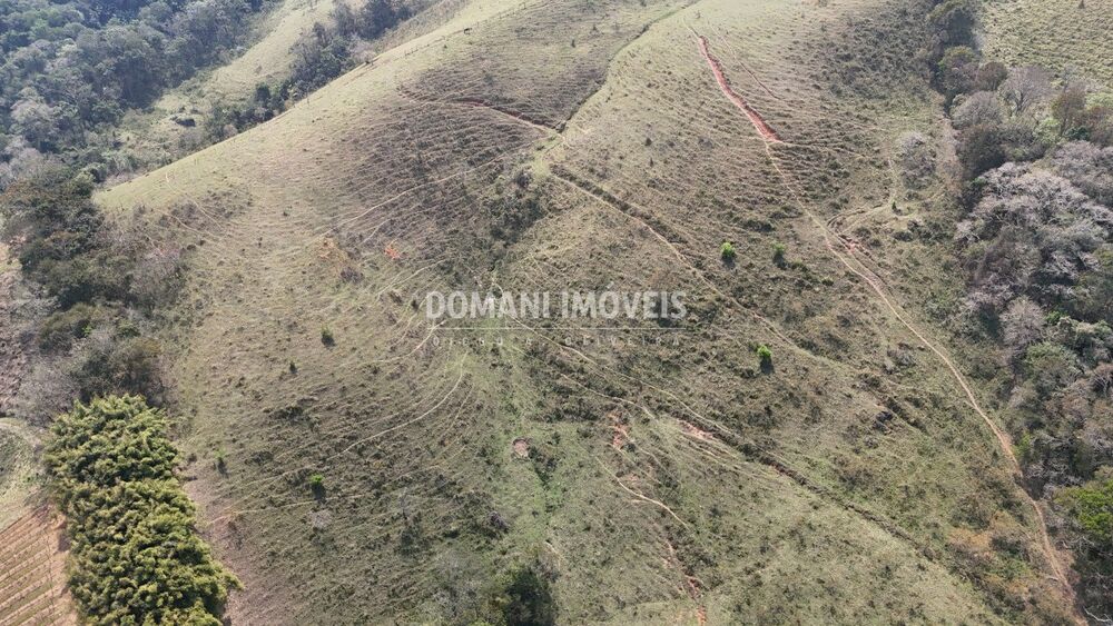 Fazenda-Sítio-Chácara - Foto 4