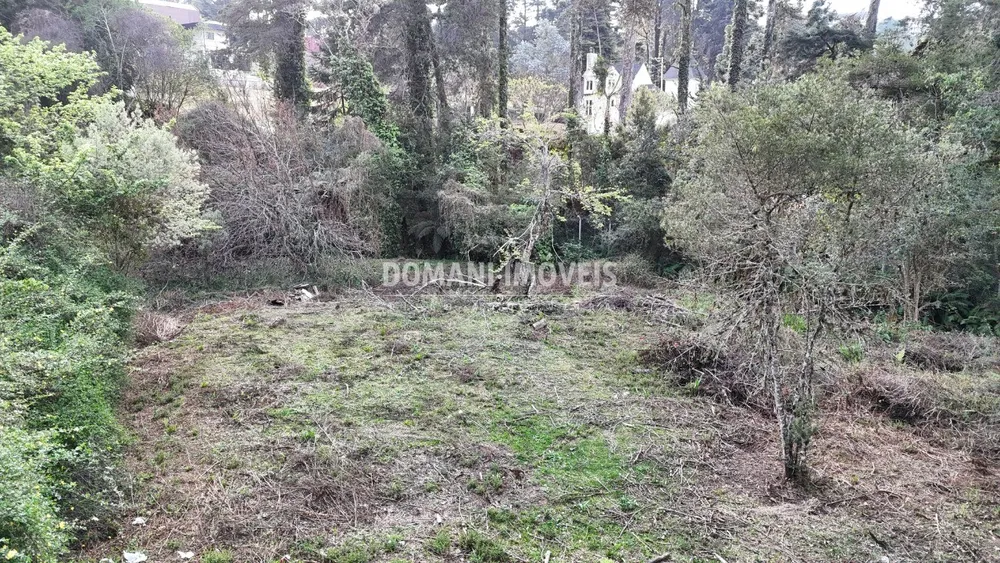 Loteamento e Condomínio, 1200 m² - Foto 6