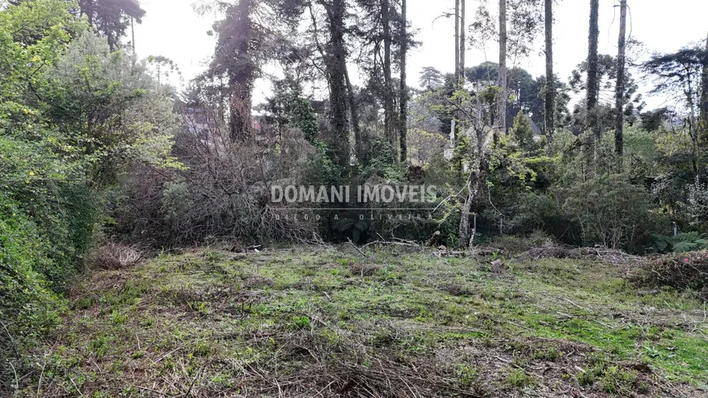 Loteamento e Condomínio, 1200 m² - Foto 7