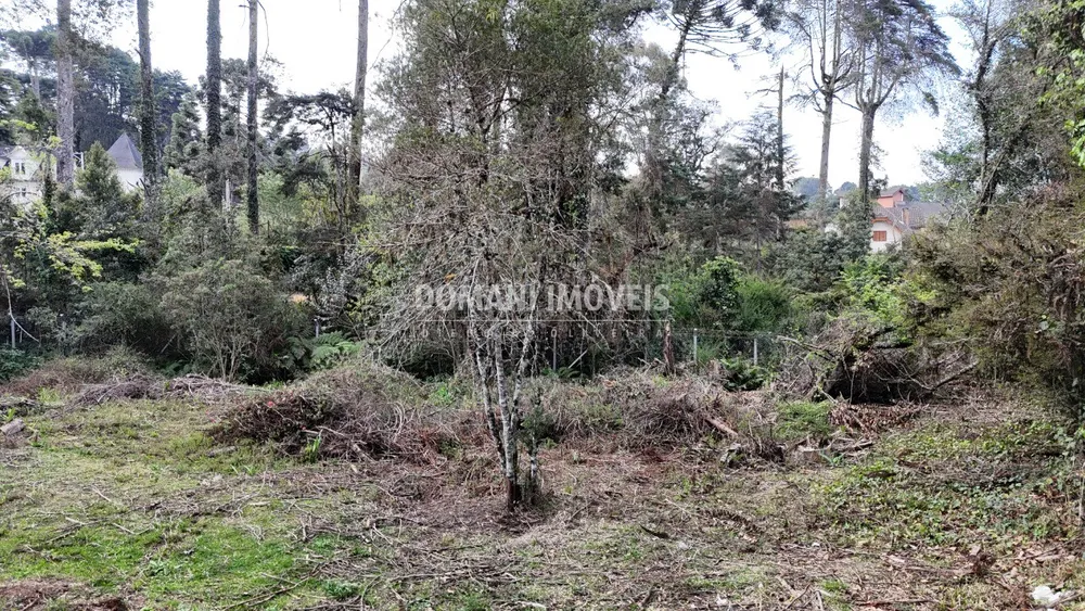 Loteamento e Condomínio, 1200 m² - Foto 4
