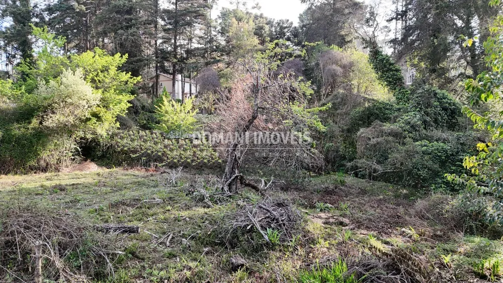 Loteamento e Condomínio, 1200 m² - Foto 1