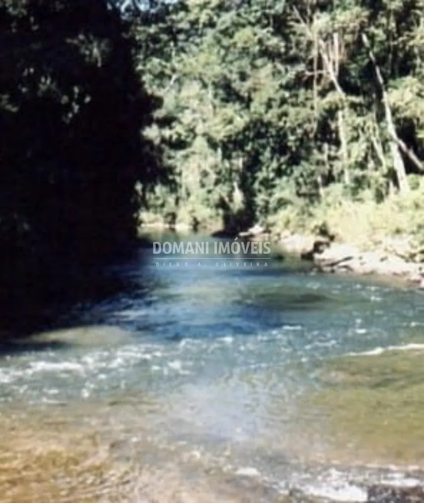 Fazenda - Foto 4