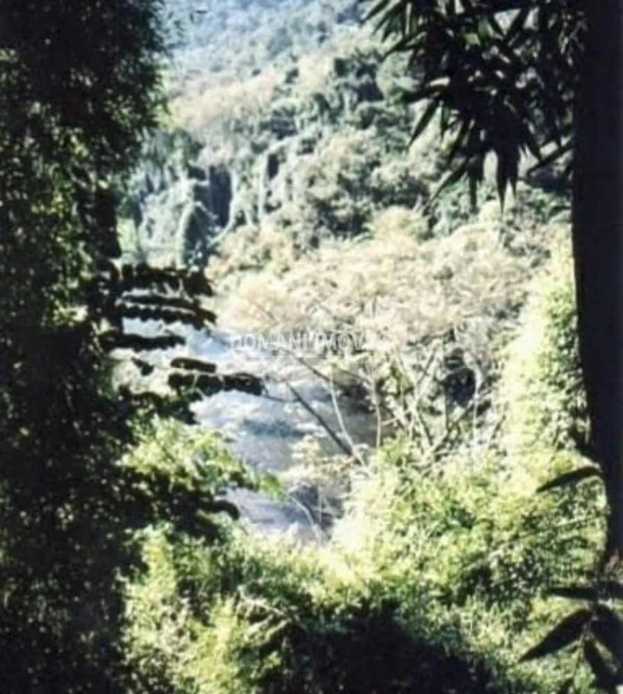 Fazenda - Foto 5