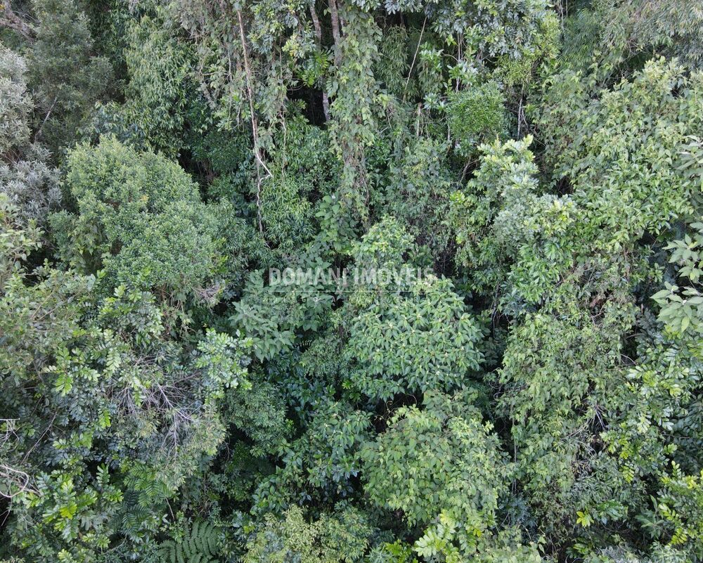 Terreno, 1110 m² - Foto 4