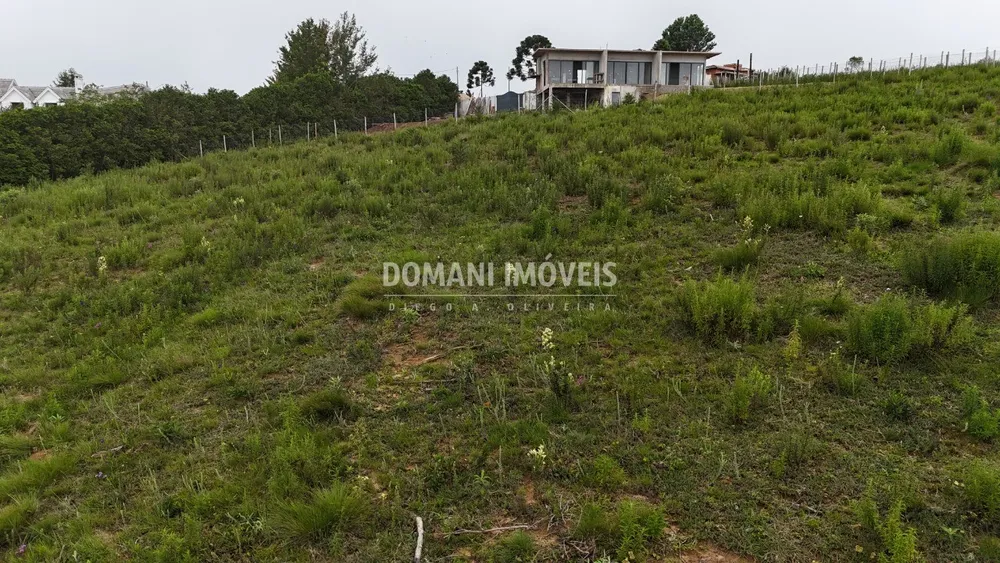 Terreno, 1310 m² - Foto 3