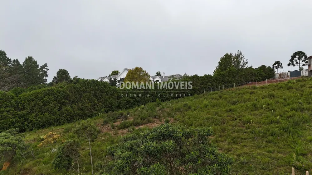 Terreno, 1310 m² - Foto 6