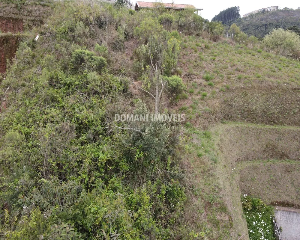Terreno, 490 m² - Foto 5