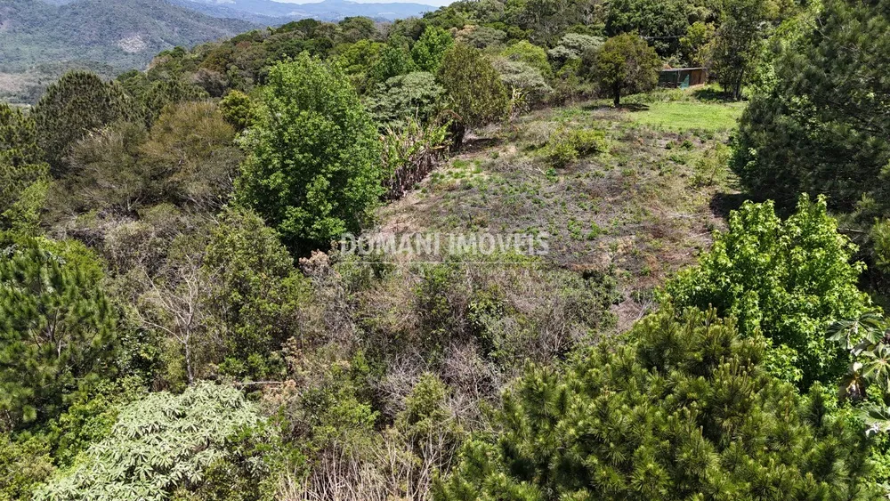 Terreno - Foto 3