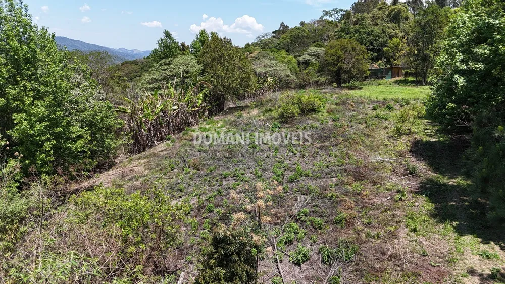 Terreno - Foto 2