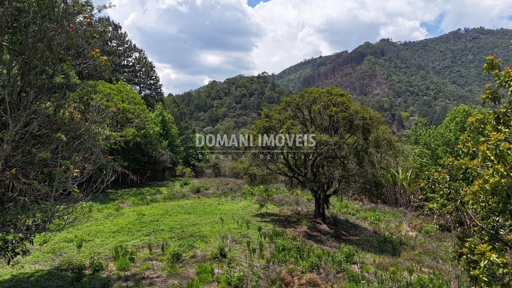 Terreno - Foto 4
