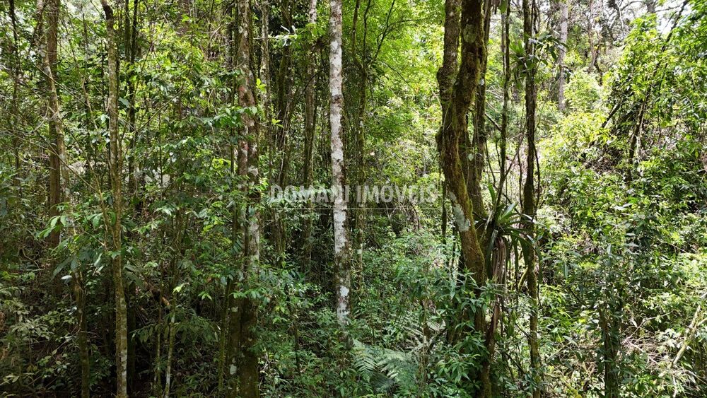 Terreno, 1 hectares - Foto 12