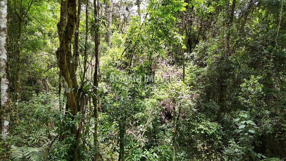 Terreno, 1 hectares - Foto 6