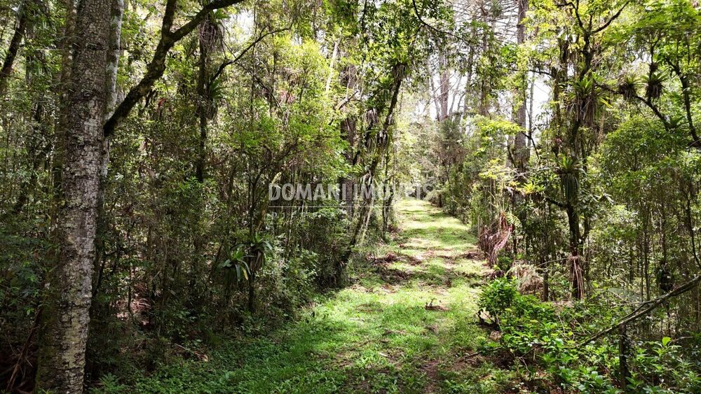 Terreno, 1 hectares - Foto 10