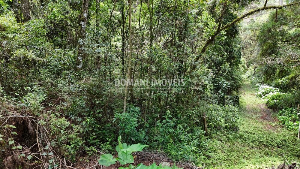 Terreno, 1 hectares - Foto 11