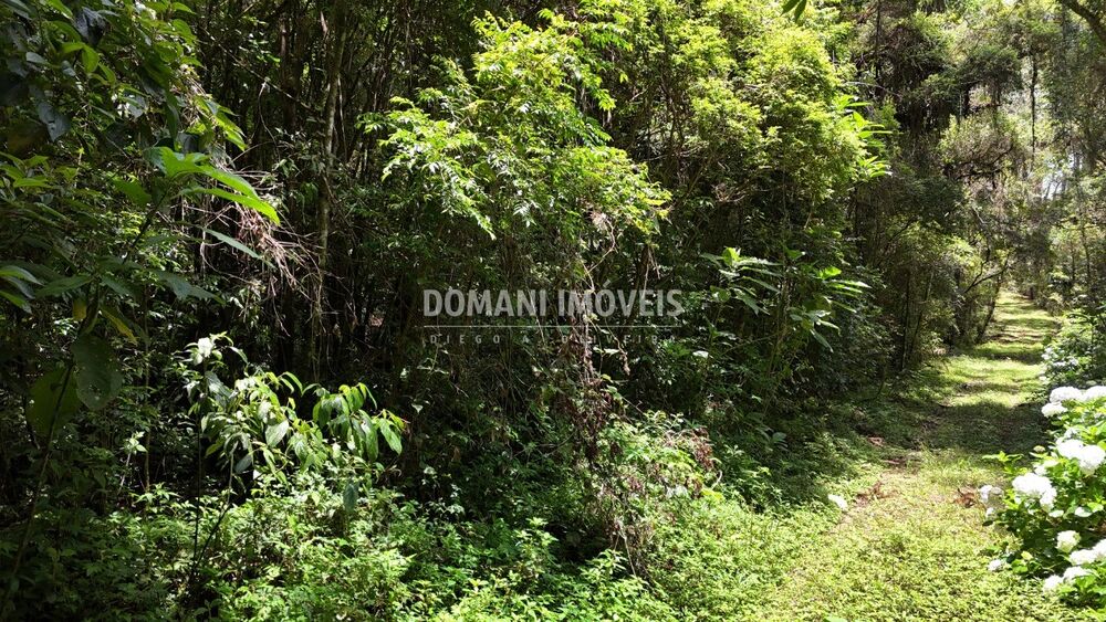 Terreno, 1 hectares - Foto 3