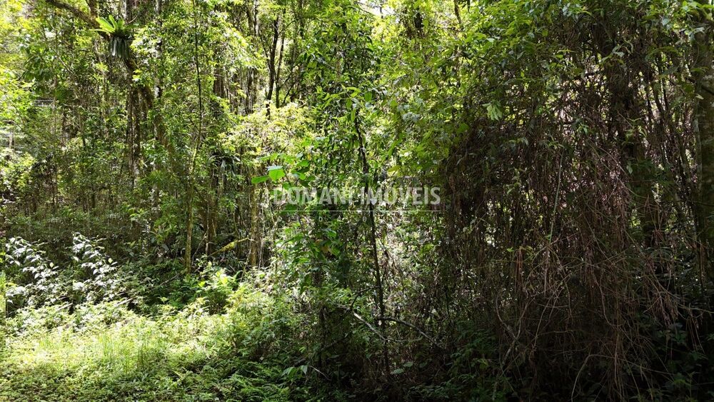 Terreno, 1 hectares - Foto 1