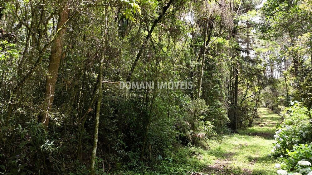Terreno, 1 hectares - Foto 2