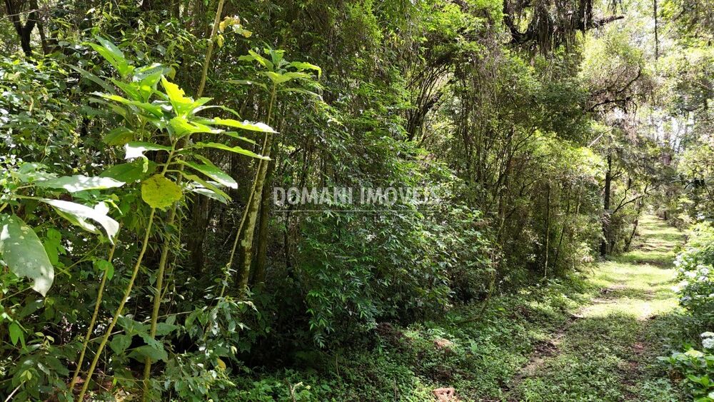 Terreno, 1 hectares - Foto 8