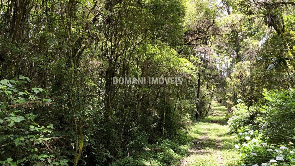 Terreno, 1 hectares - Foto 9