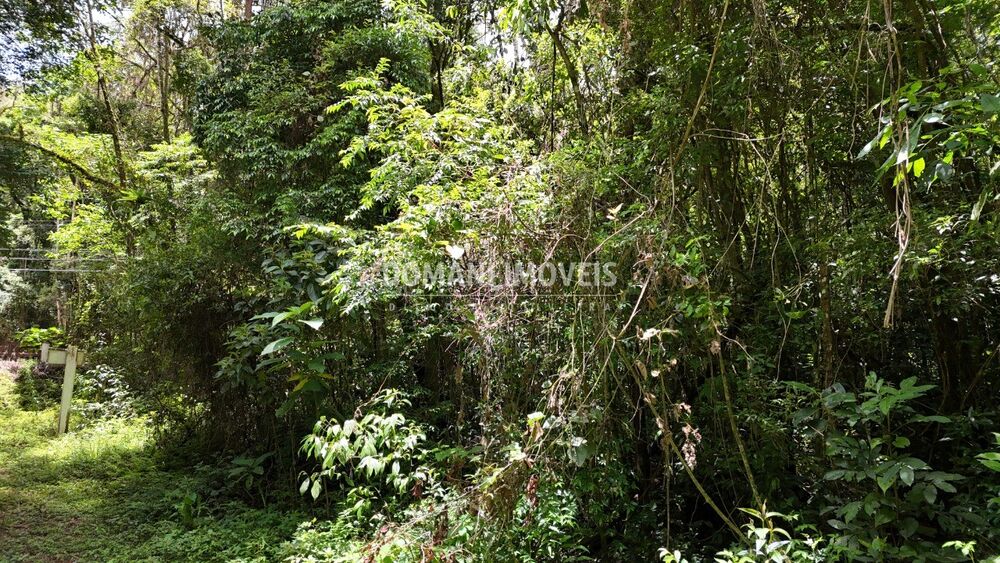 Terreno, 1 hectares - Foto 7