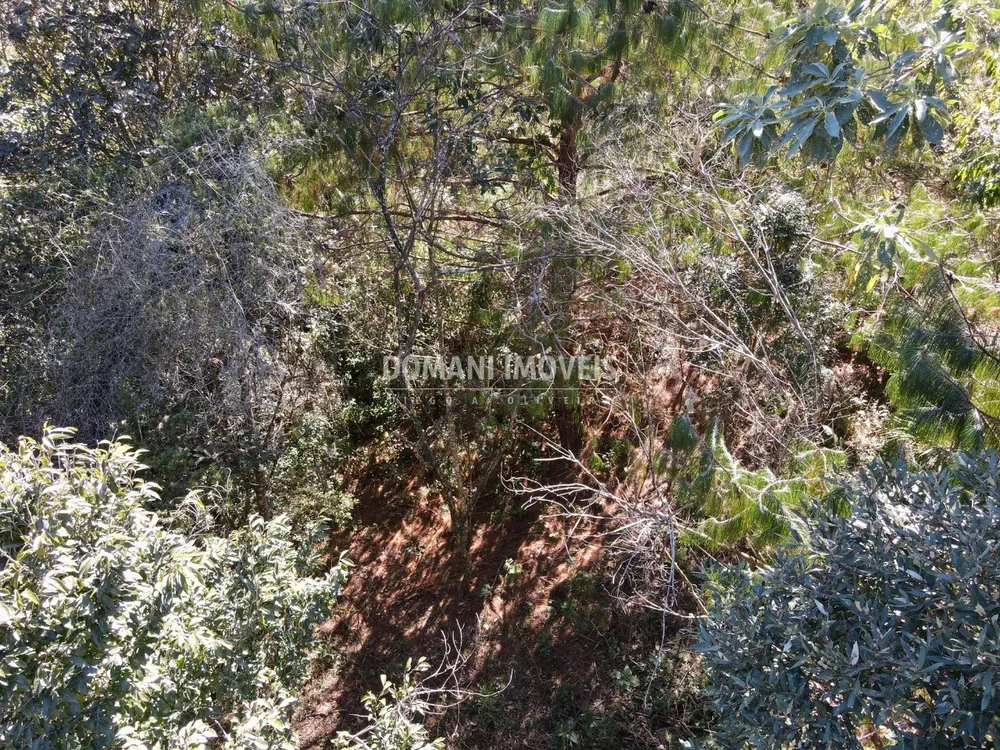 Terreno, 1050 m² - Foto 3