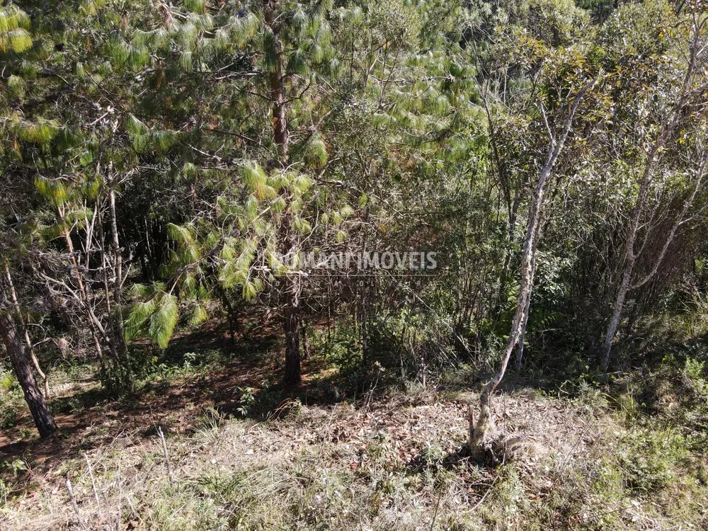 Terreno, 1050 m² - Foto 2