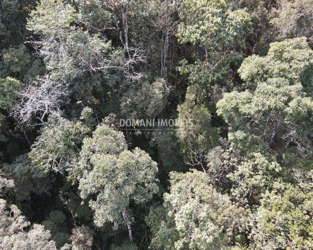 Terreno, 7780 m² - Foto 8