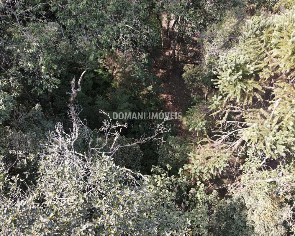 Terreno, 7780 m² - Foto 9