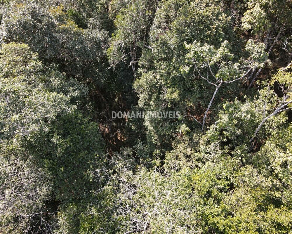 Terreno, 7780 m² - Foto 3