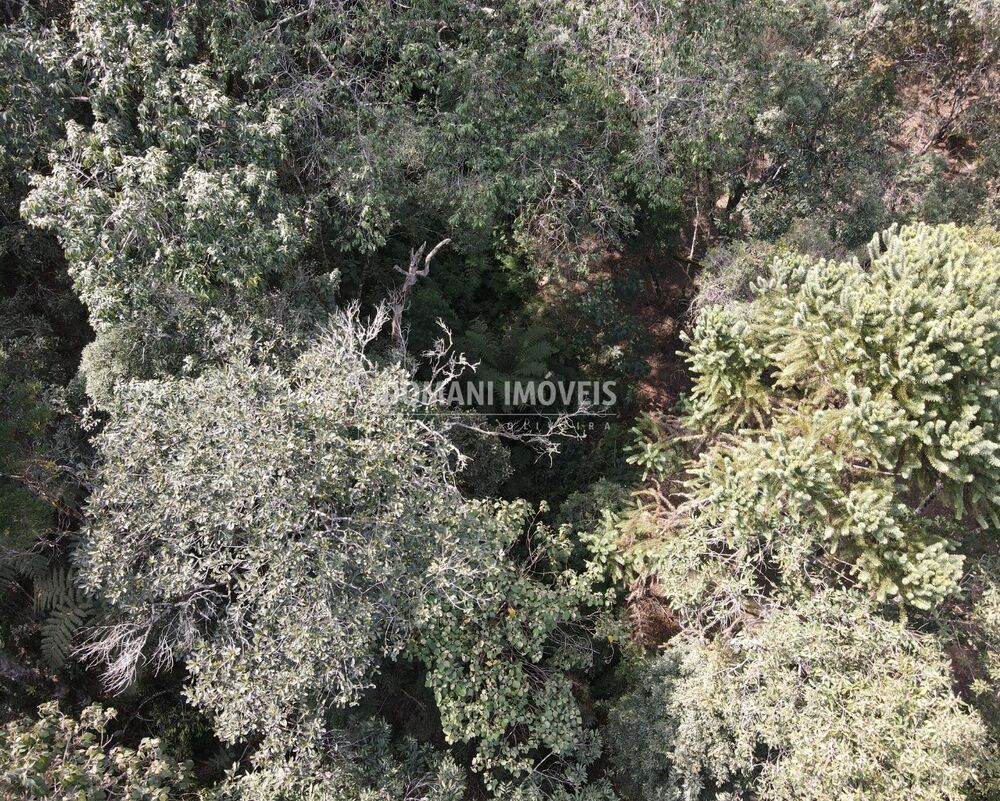 Terreno, 7780 m² - Foto 10