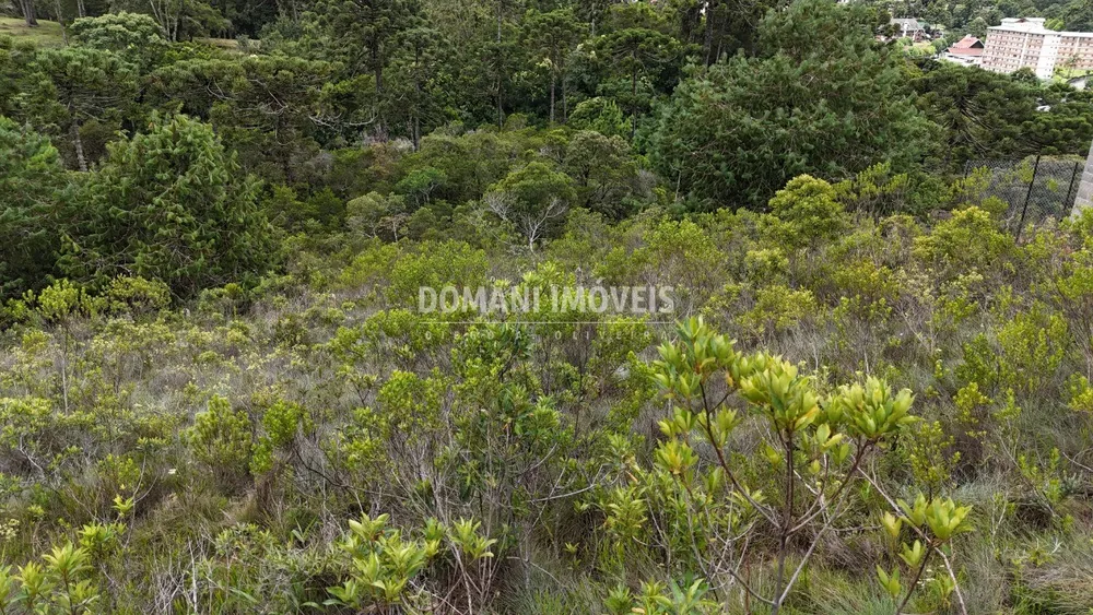 Terreno, 1390 m² - Foto 8