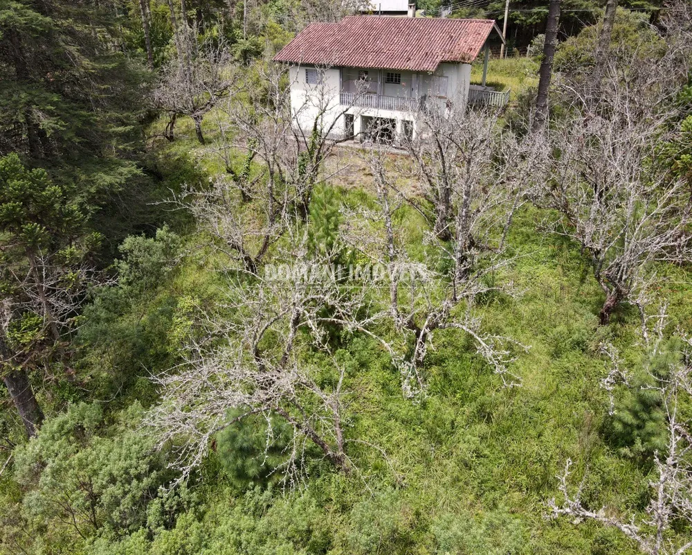 Terreno - Foto 6