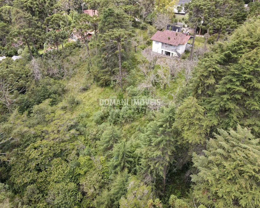 Terreno - Foto 1
