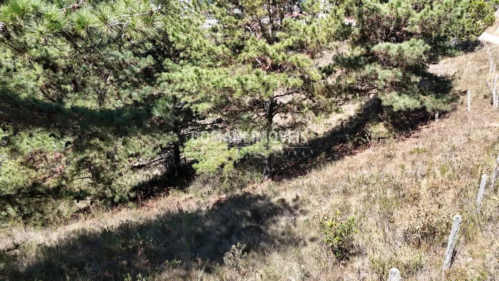 Terreno, 1270 m² - Foto 3