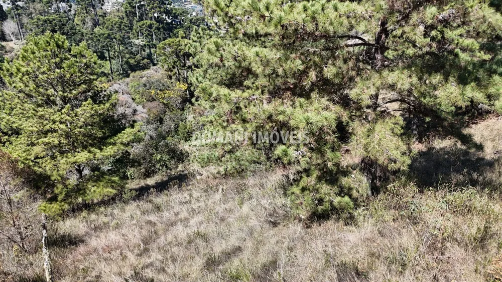 Terreno, 1270 m² - Foto 7
