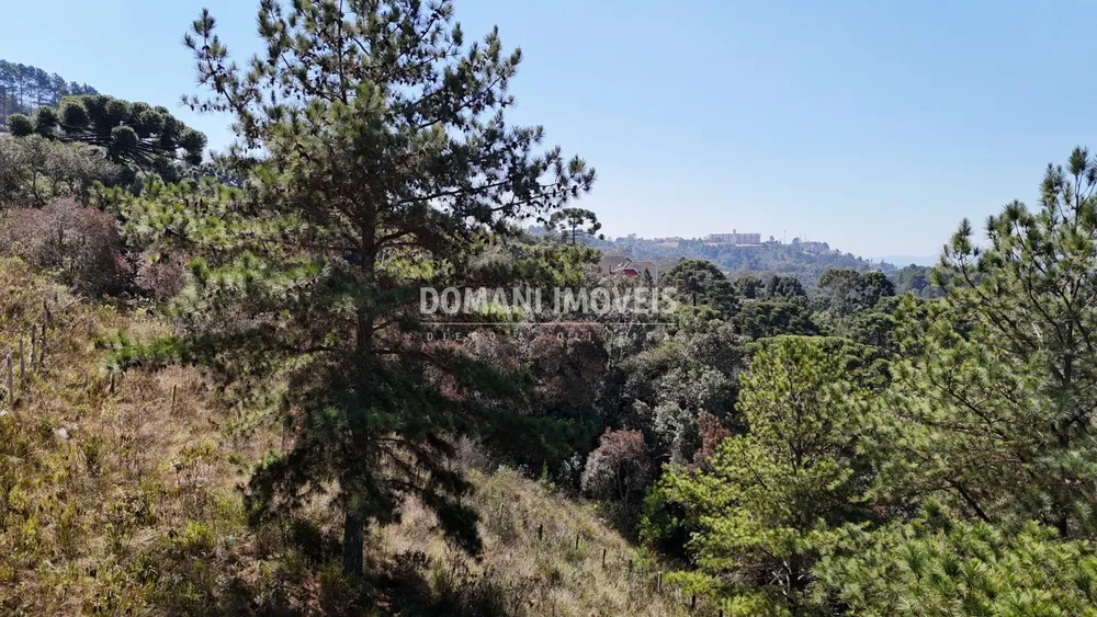 Terreno, 1270 m² - Foto 5