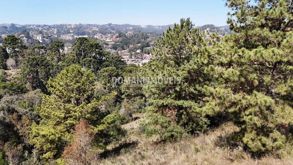 Terreno, 1270 m² - Foto 4