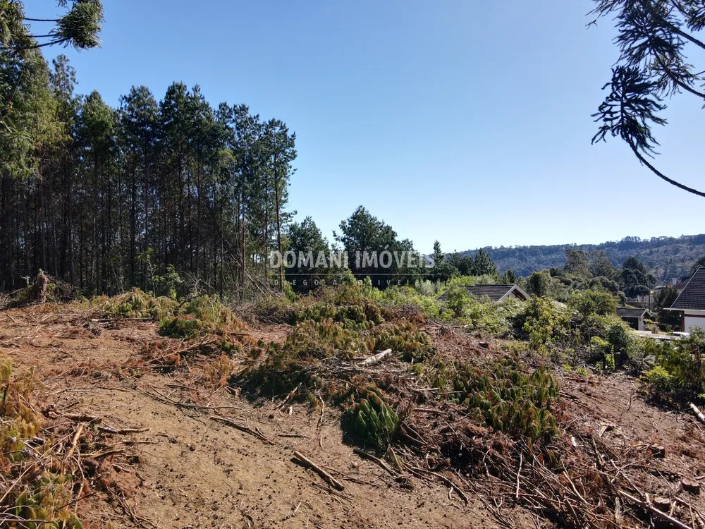 Terreno, 2540 m² - Foto 1