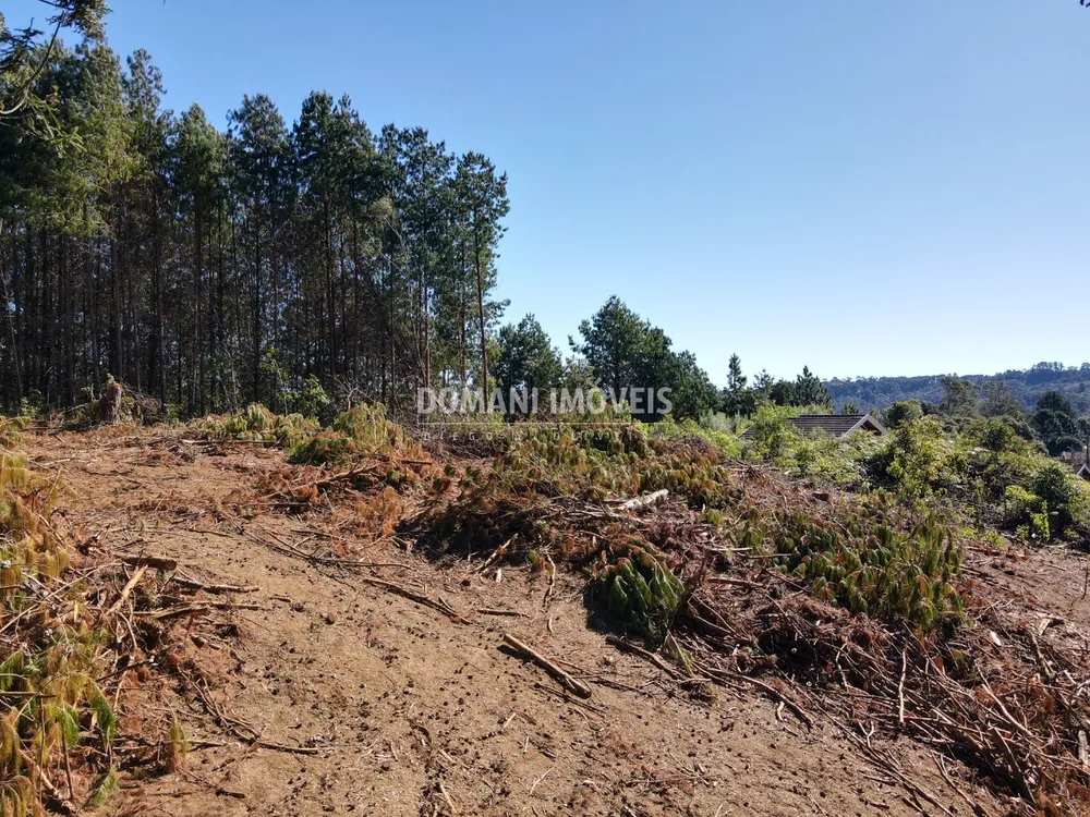 Terreno, 2540 m² - Foto 4