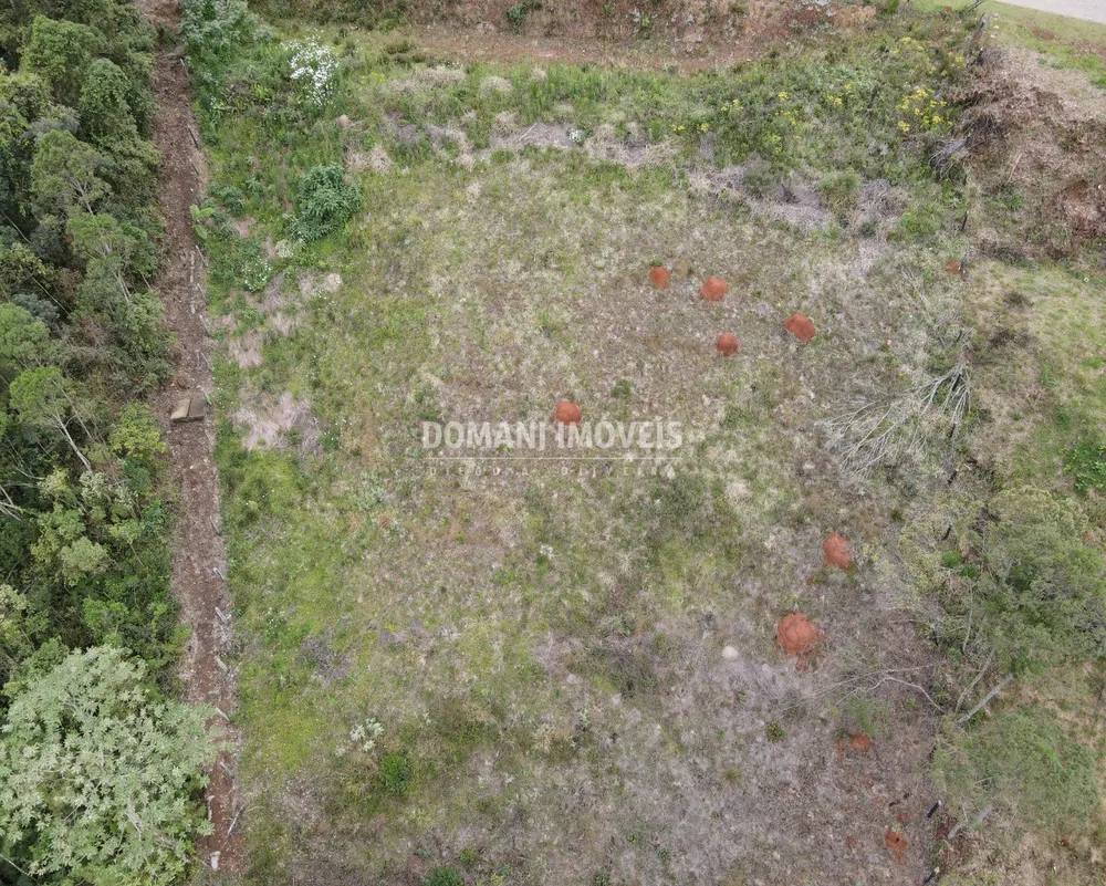 Terreno, 1600 m² - Foto 9