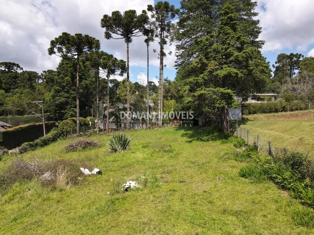 Terreno, 1330 m² - Foto 7