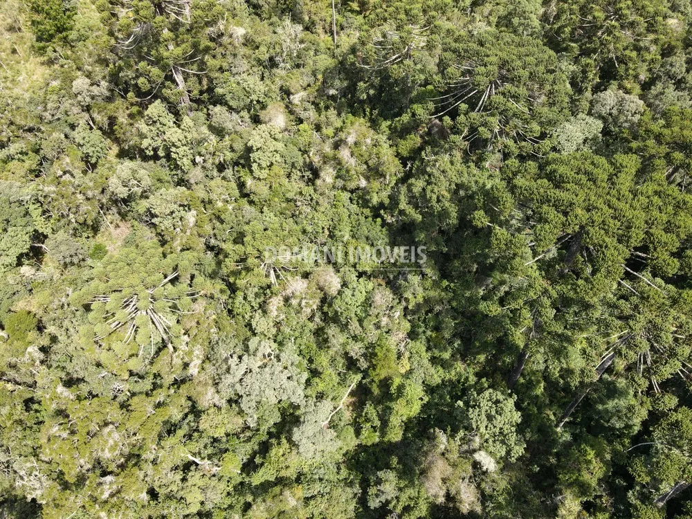 Terreno, 5100 m² - Foto 7