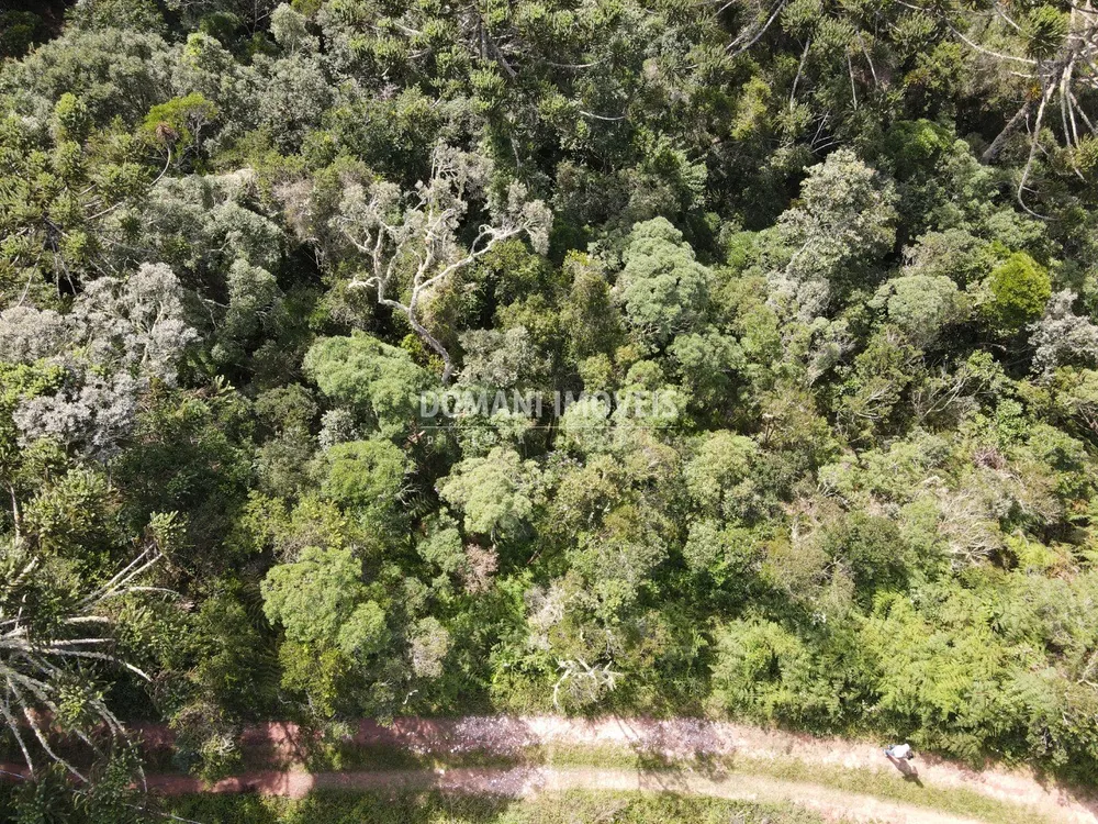 Terreno, 5100 m² - Foto 8