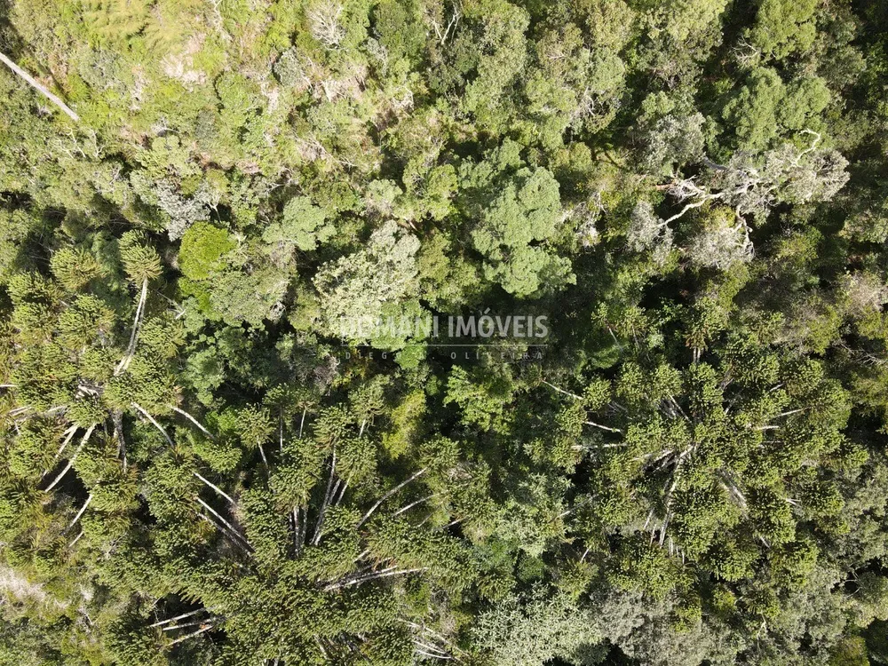 Terreno, 5100 m² - Foto 6