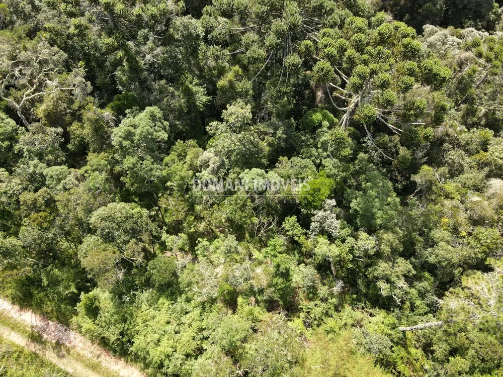 Terreno, 5100 m² - Foto 3