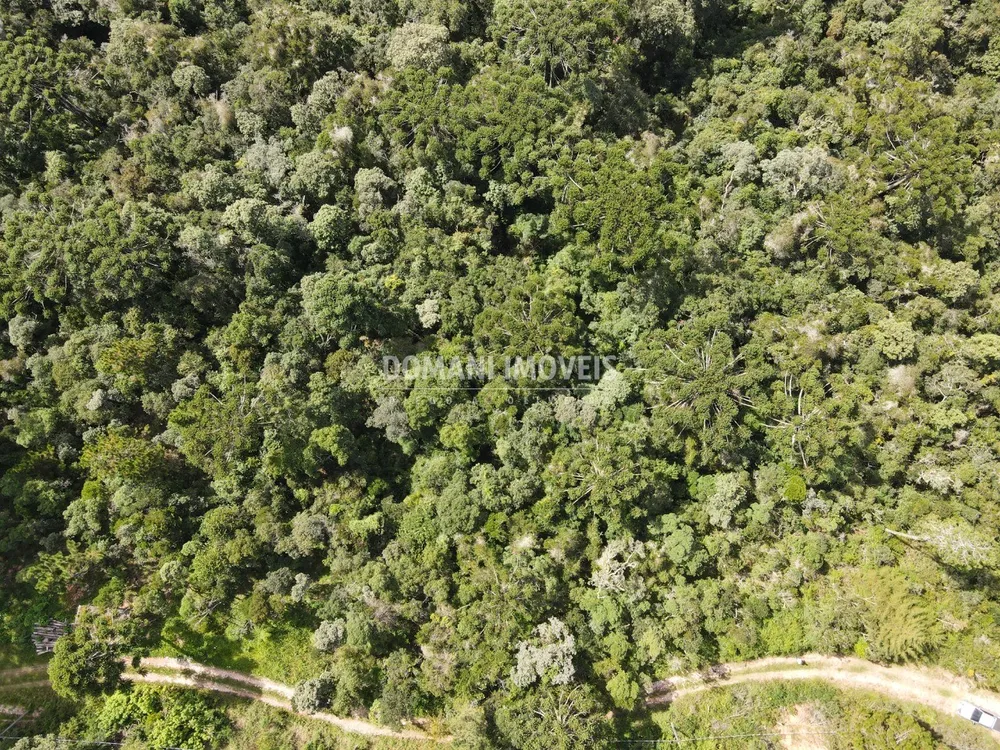 Terreno, 5100 m² - Foto 5