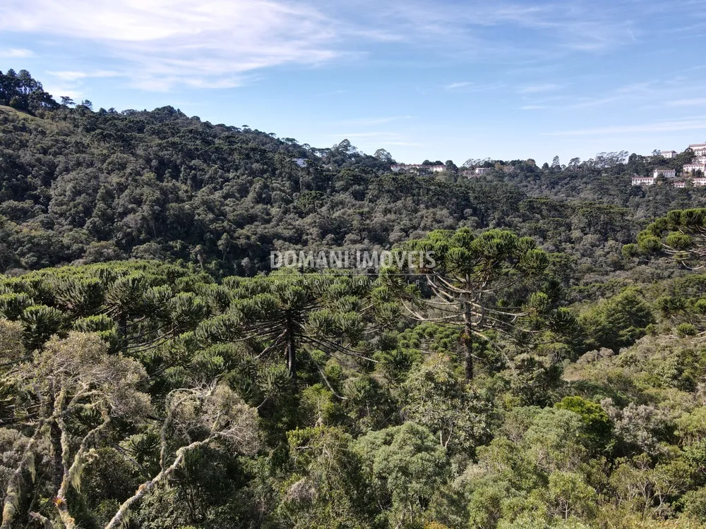 Terreno, 5100 m² - Foto 4