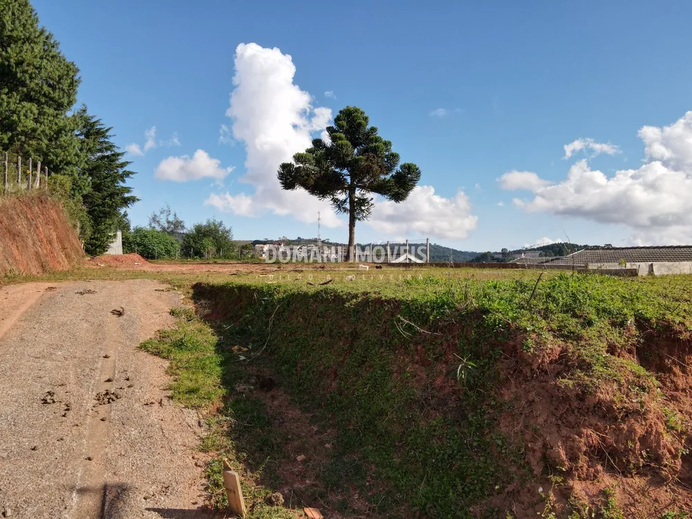 Terreno, 1160 m² - Foto 4